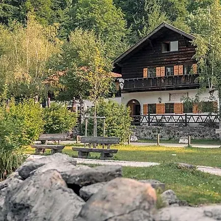 Отель Restaurant Alatsee 3*
