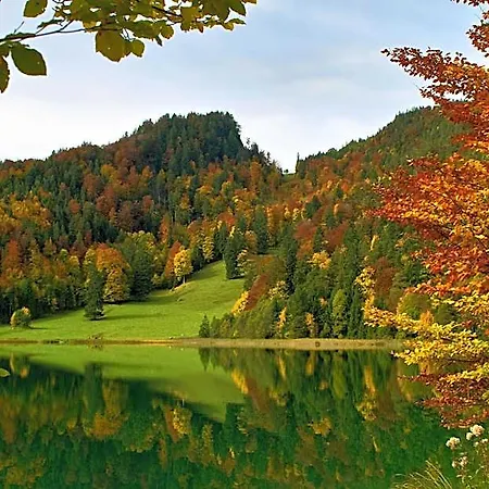 Отель Restaurant Alatsee 3*